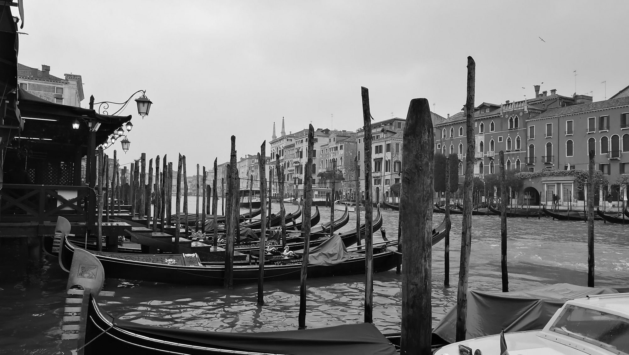 Venecia Venecia