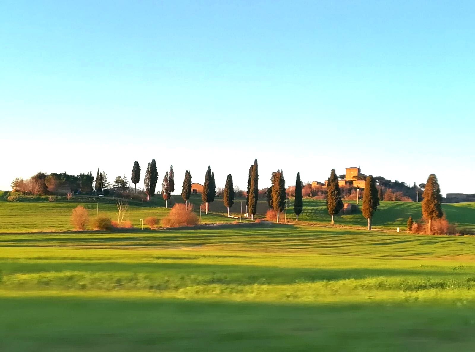 Colinas toscanas en los alrededores de Pienza Colinas toscanas en los alrededores de Pienza