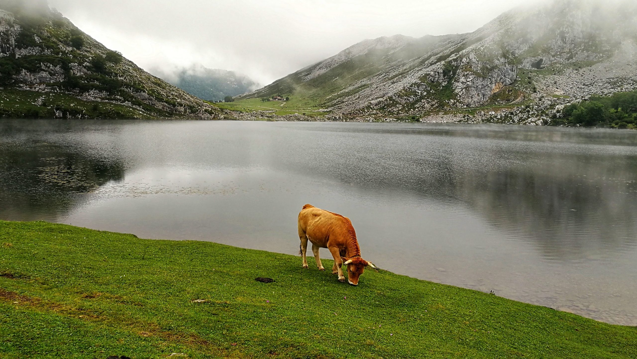 lagos de covadonga familias numerosas