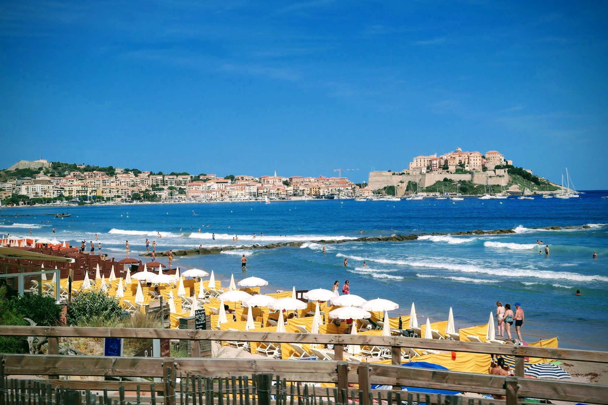 Calvi Calvi
